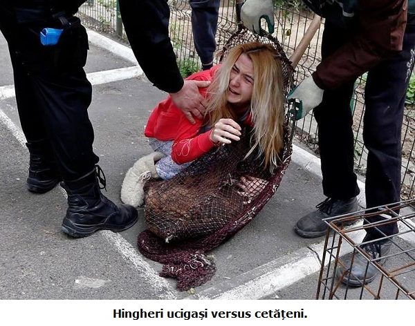 Dragnea, Tăriceanu, Firea, opriți crima!