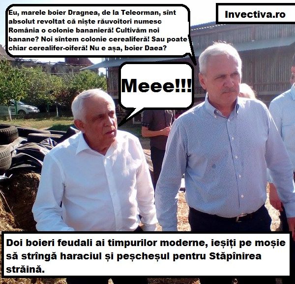 Ocupația salvează nația -VII-. Oile moraliste