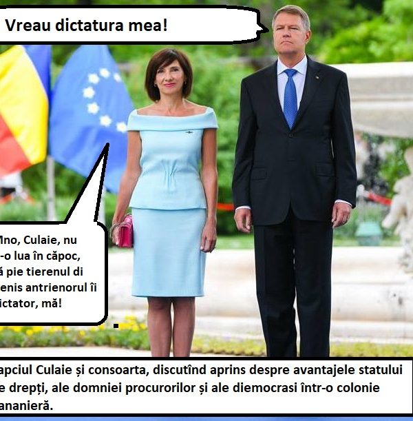 Voi nu sînteți ”de dreapta”, bă, voi sînteți doar proști! -II-