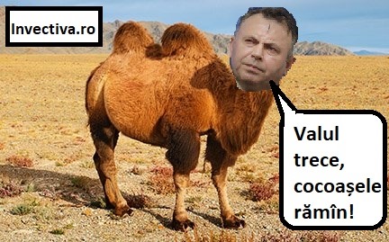 Tăntălăul și Gogomanul ne salvează pe noi! -IV-