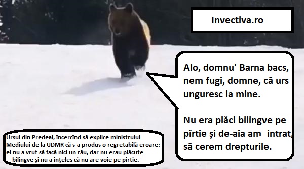 Ursul Brun şi Capra Neagră nu au trecere la bizoni -III-