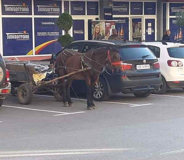 Planul Național de Ranșforțare și Repetență