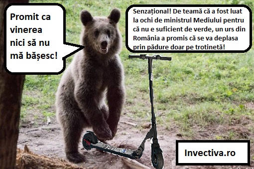 Urșii din România nu sînt suficient de eco pentru ministrul Mediului