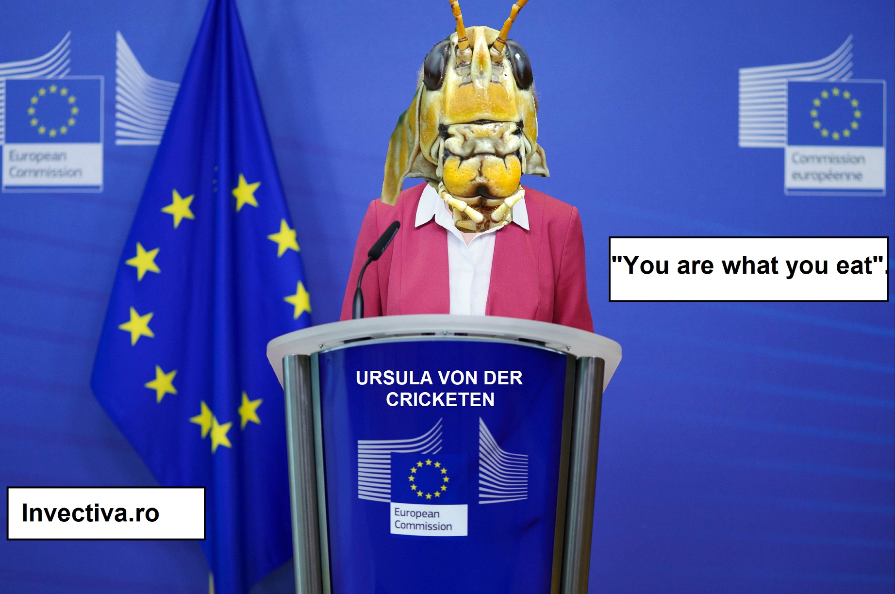 Mai ușor cu globalizarea pe scări! -IV-