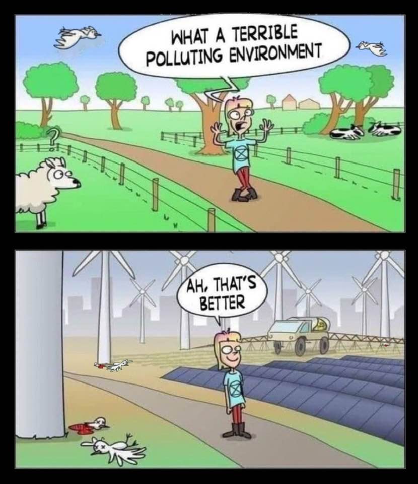Realitatea de după oglindă -XXII-. Iluzia energiei verzi