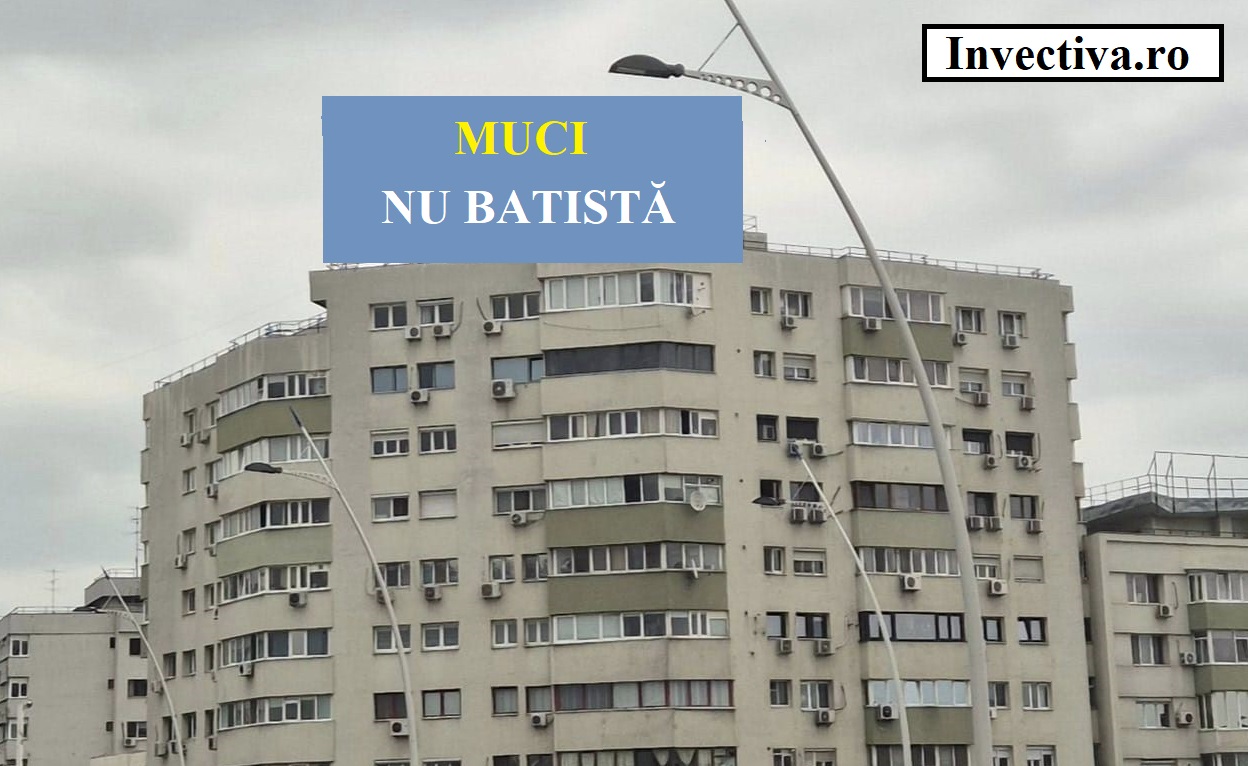 Mai ușor, măi Nicușor, cu salvatul nostru… -II-
