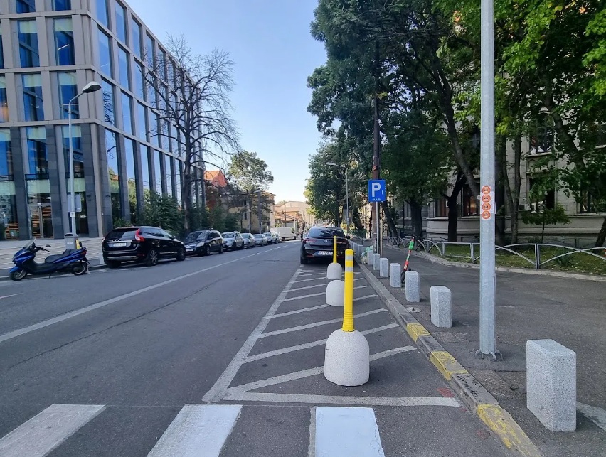 Corporatistul de cîmp și de pădure -II-. Ranga, bolarzii și stîlpișorii
